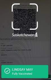 Sk Vax Wallet App Download APK